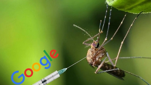 পৃথিবী থেকে মশা বিনাশে এই উদ্যোগ নিল গুগল পৃথিবী থেকে মশা বিনাশে এই উদ্যোগ নিল গুগল