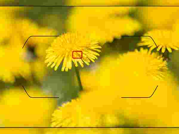 সিঙ্গল অটোফোকাস মোড