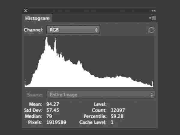 Histogram