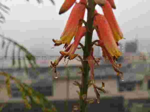 মাল্টিমিডিয়া এক্সপিরিয়েন্স